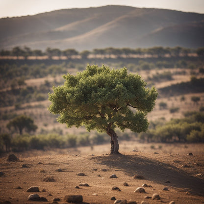 Plant a Small Tree